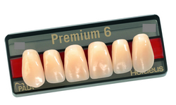 Зубы Premium 6 цвет D2 фасон S4 верх