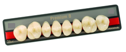 Зубы Premium 8 цвет B1 фасон S верх