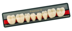 Зубы Premium 8 цвет A2 фасон LL низ