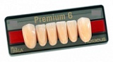 Зубы Premium 6 цвет A1 фасон L18 низ