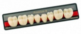 Зубы Premium 8 цвет D2 фасон XSL низ
