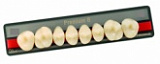 Зубы Premium 8 цвет D2 фасон S верх